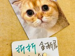 -楼上猫咖(罗湖店)