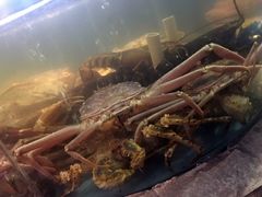 -蟹之国·精品蟹料理(极地店)