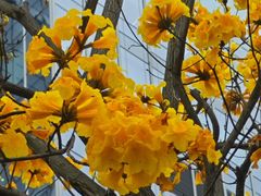 -龙湖重庆时代天街