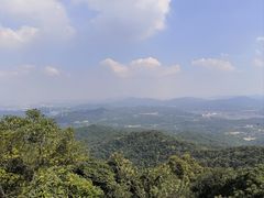 -广州市帽峰山景区