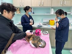 -北京观赏动物医院·24小时大型综合·猫专科·异宠专科