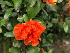 -潘广路(地铁站)