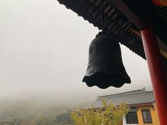 -龙寺生态园