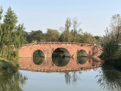 -白鹭湾湿地公园