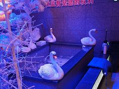 -营信刘罗锅铁锅炖(建华店)