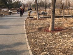 -东郊湿地公园