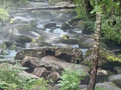 -汤旺河林海奇石景区