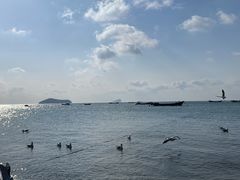 -银沙滩浴场