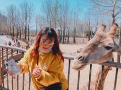 -大连森林动物园