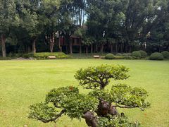 -申粤轩酒楼·三十年粤菜经典(丁香花园店)