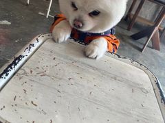 -DC咖啡(学田南苑店)