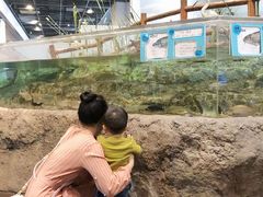 -大阪儿童乐园