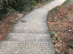 -龙头山森林公园·停车场
