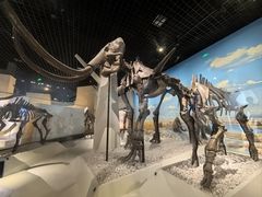 -国家自然博物馆