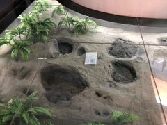 -延庆地质公园博物馆