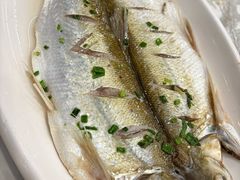 -蟹天蟹地农家菜·阳澄湖大闸蟹(浅水湾店)