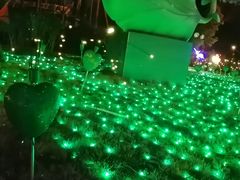 -国色天乡三期陆地乐园