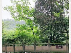 -都江堰景区