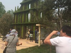 -武清南湖绿博园