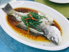 清蒸石斑鱼-海上渔村食府海鲜餐厅