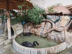-海合安成都极地海洋公园