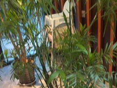 -风渡嘉荷西餐厅 Windy City(西三旗金隅店)
