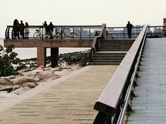 -深圳湾公园(南山区)