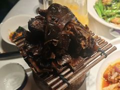 -凤凰湘语(浦东旗舰店)