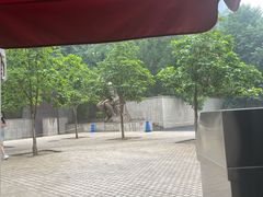 -安妮意大利餐厅(世贸天阶店)
