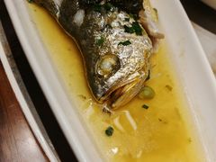 -老绍兴养和饭店(向阳不夜城店)