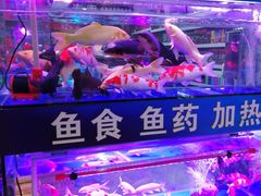 -三旗百汇商品城