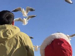 -老虎石海上公园