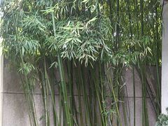 -凤竹园(修水店)