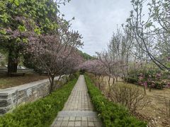 -四门塔风景区