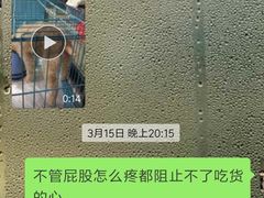 -瑞派天使宠物医院·神经外科·骨科·核磁(洛川中路店)