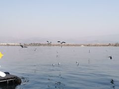-西昌邛海湿地