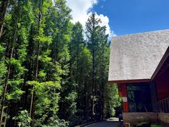 -山王坪喀斯特国家生态公园