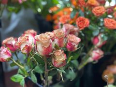 -何兮花店·气球派对鲜花店(马桥银春路万科城店)