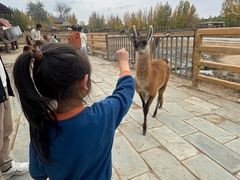 -鄂尔多斯野生动物园