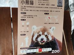 -武汉动物园