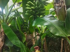 -石家庄市植物园