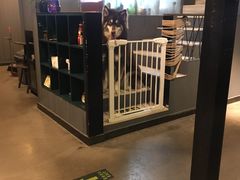 -百好乐宠物友好餐厅(朝外大街店)