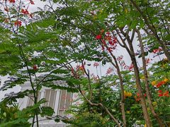 -新加坡总统府