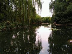 -习家池