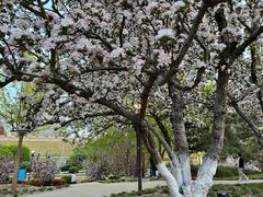 -海棠花溪(元大都城垣遗址公园)