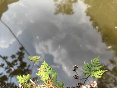 -龙门涧景区