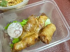 越南米纸炸春纸-AN NGON安宫·东南亚美食(水城路店)