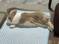 -吉友粥底火锅(方斜路店)