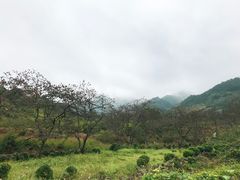 -千泷沟大瀑布旅游区