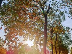 -天鹅湖体育公园